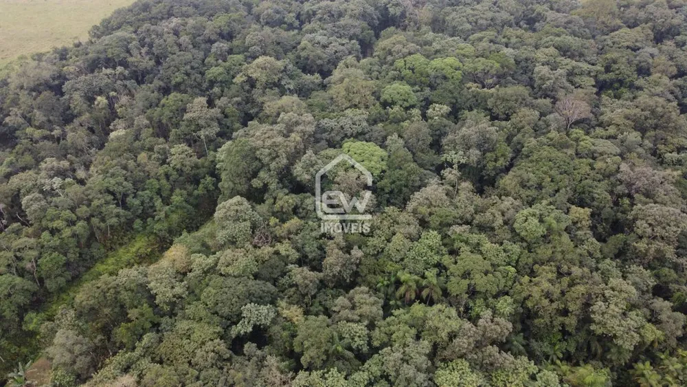 Depósito-Galpão, 15730 m² - Foto 4