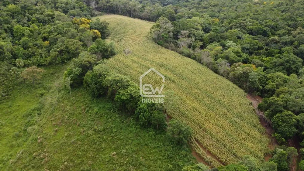Chácara, 1 quarto, 22 hectares - Foto 3