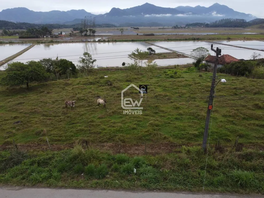 Depósito-Galpão, 2329 m² - Foto 2