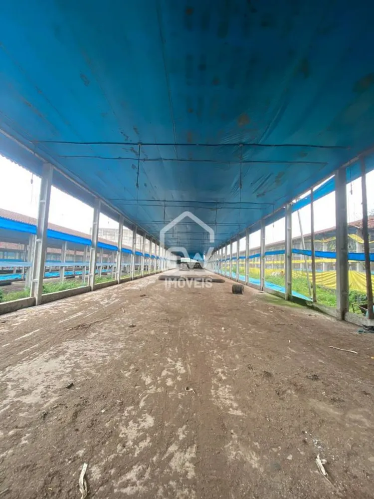 Depósito-Galpão, 60000 m² - Foto 15