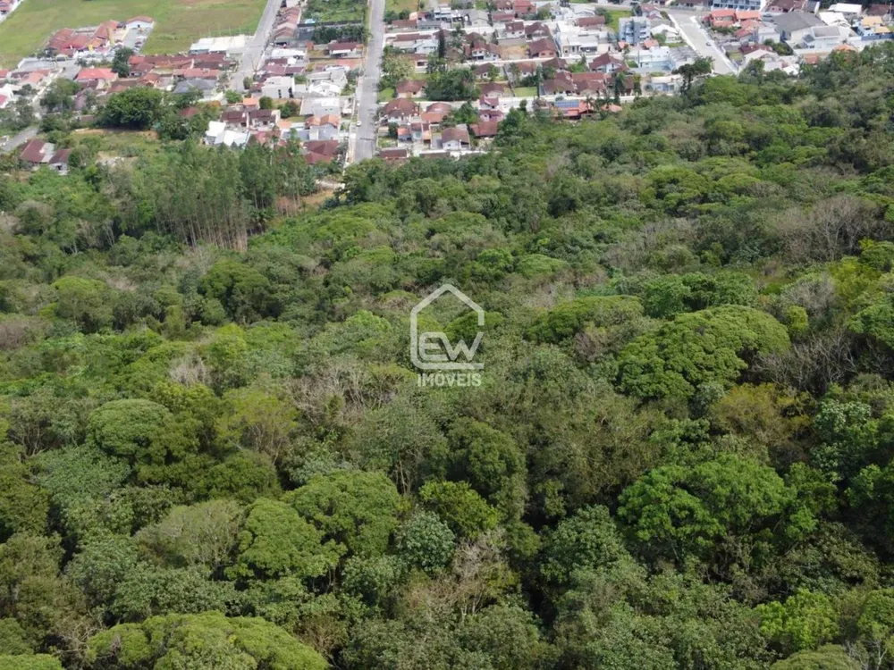 Chácara, 1 quarto, 4 hectares - Foto 9