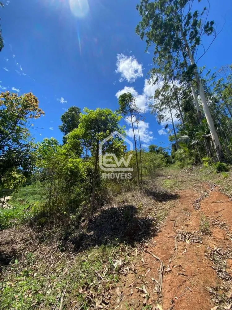 Terreno, 2 hectares - Foto 3