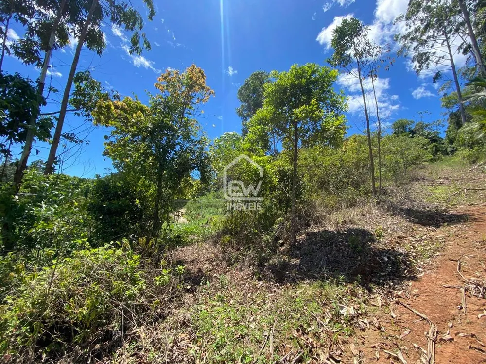 Terreno, 2 hectares - Foto 4