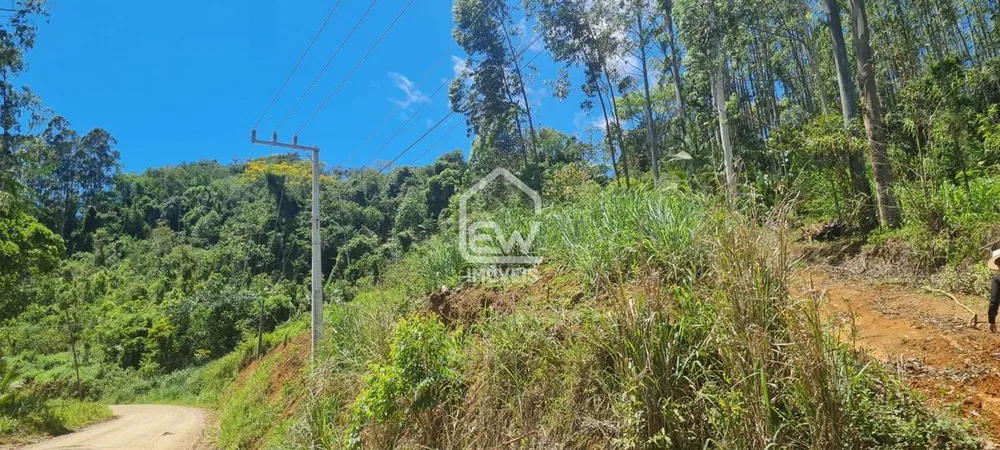 Terreno, 2 hectares - Foto 2