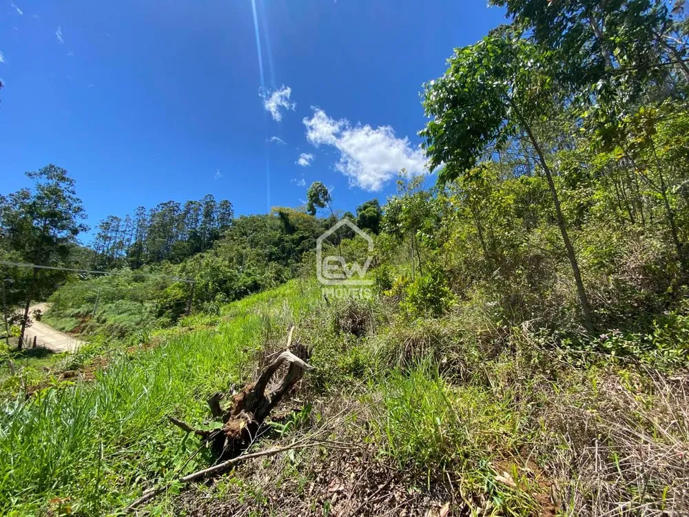 Terreno, 2 hectares - Foto 7