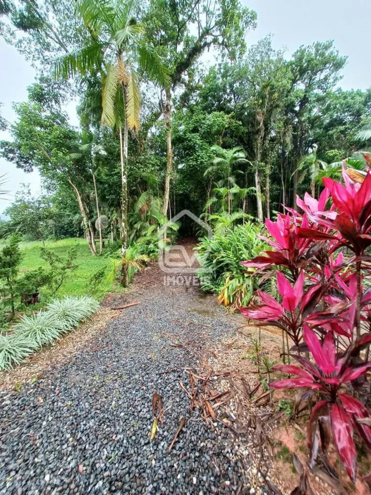 Chácara, 2 quartos, 2 hectares - Foto 9