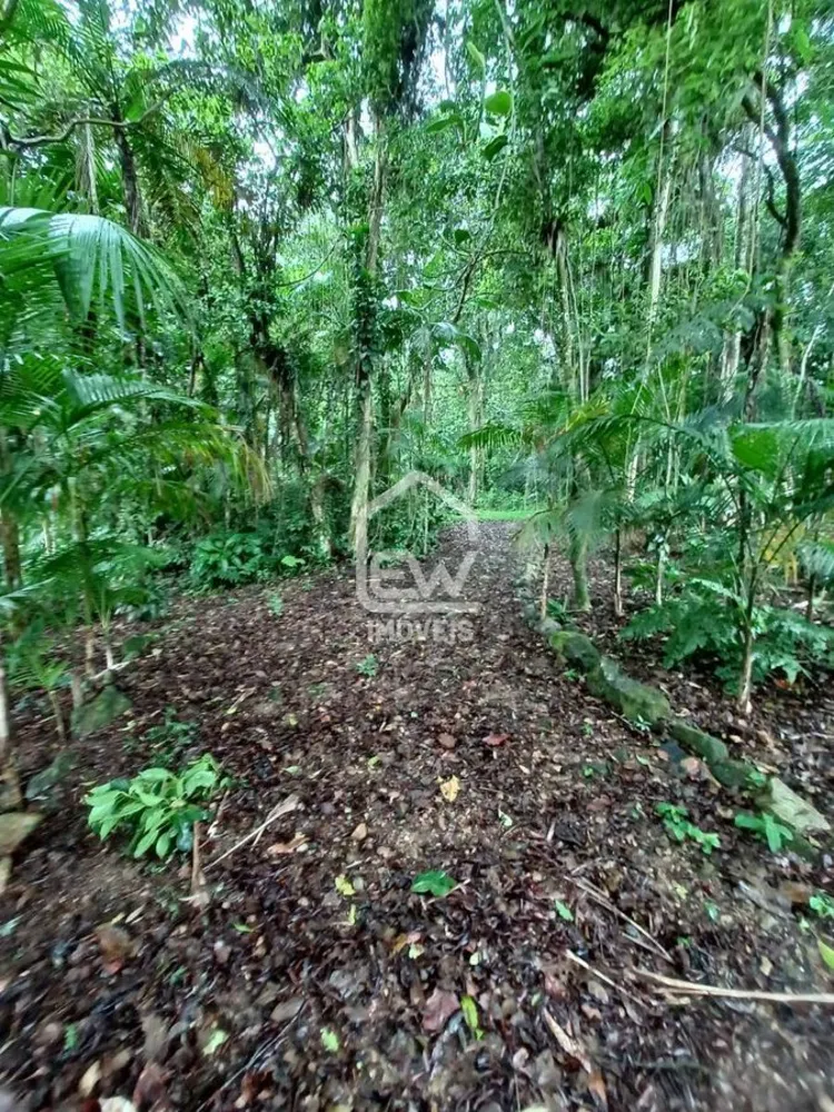 Chácara, 2 quartos, 2 hectares - Foto 16