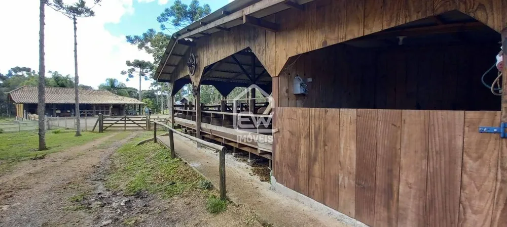 Sítio, 2 quartos, 6 hectares - Foto 11