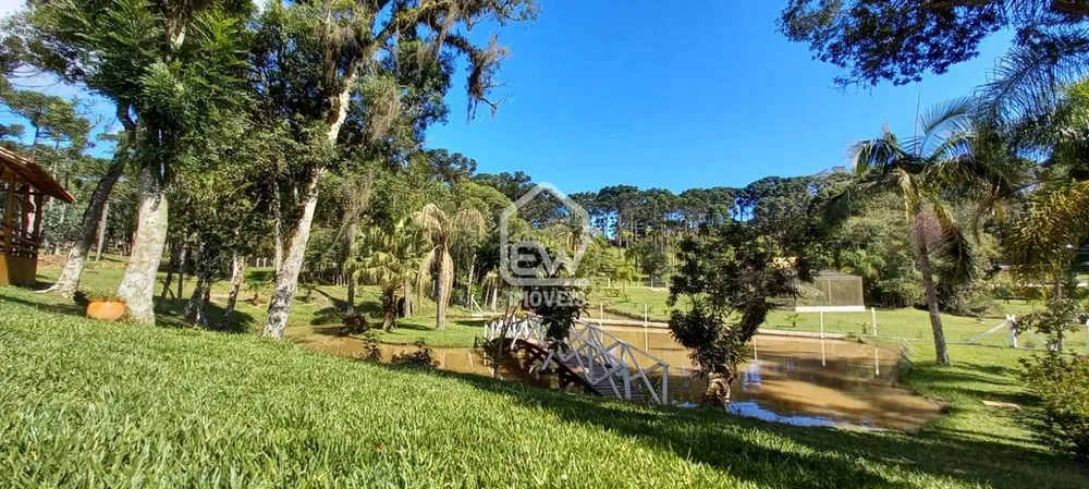 Sítio, 2 quartos, 6 hectares - Foto 8