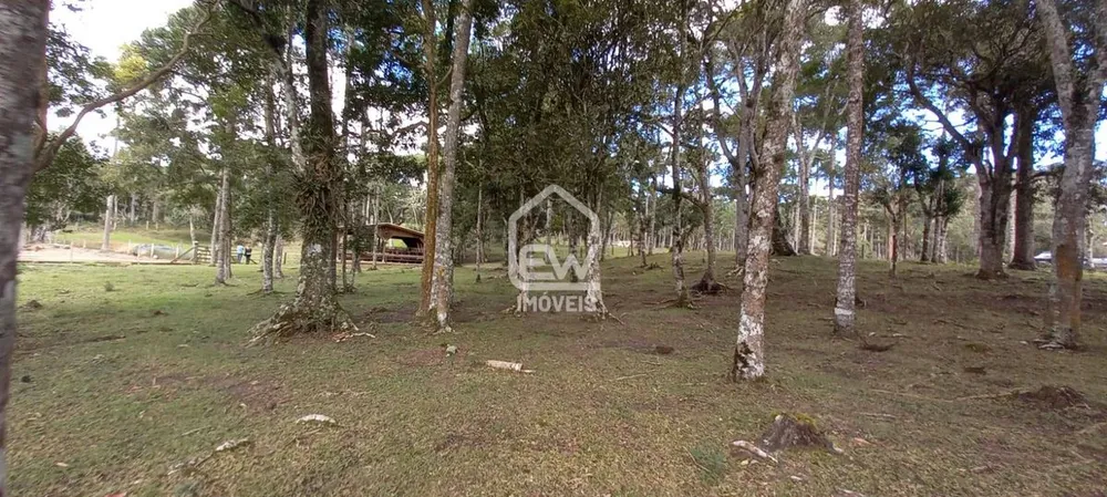 Sítio, 2 quartos, 6 hectares - Foto 16