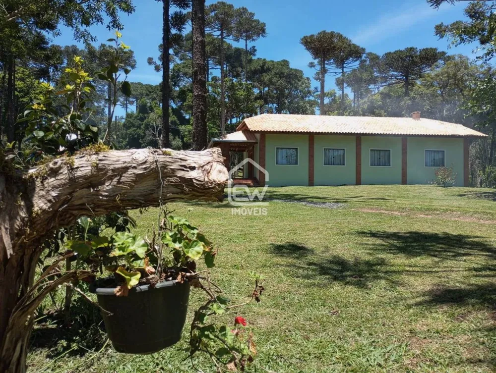 Sítio, 2 quartos, 6 hectares - Foto 6
