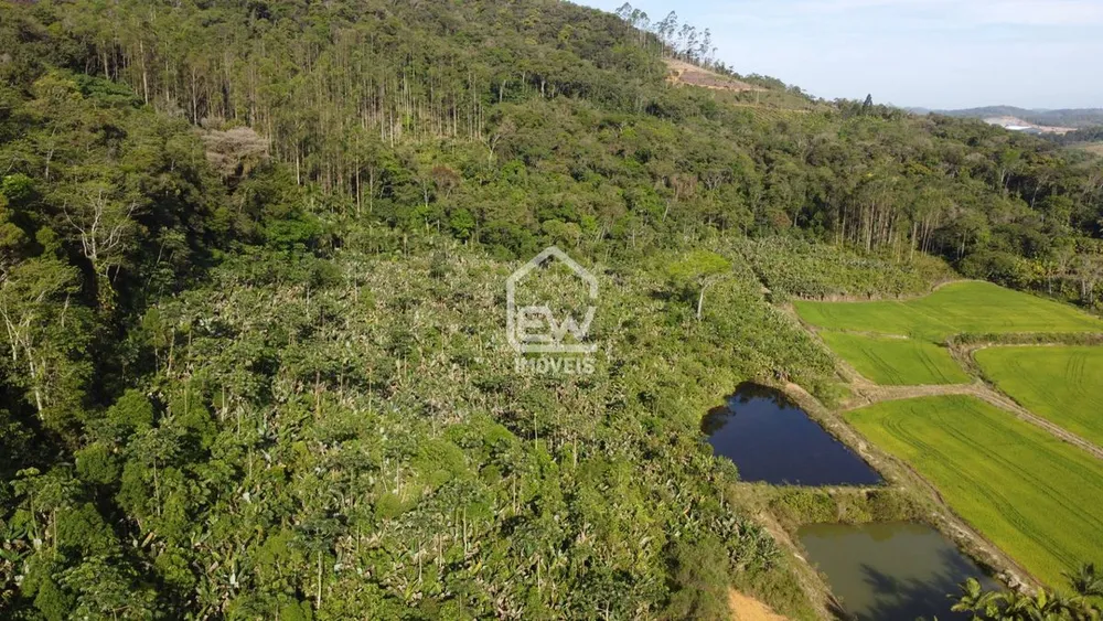 Sítio, 1 quarto, 4 hectares - Foto 4