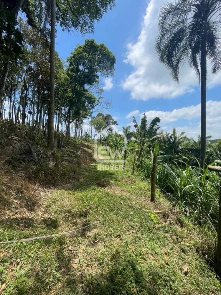 Sítio, 3 quartos, 5 hectares - Foto 15