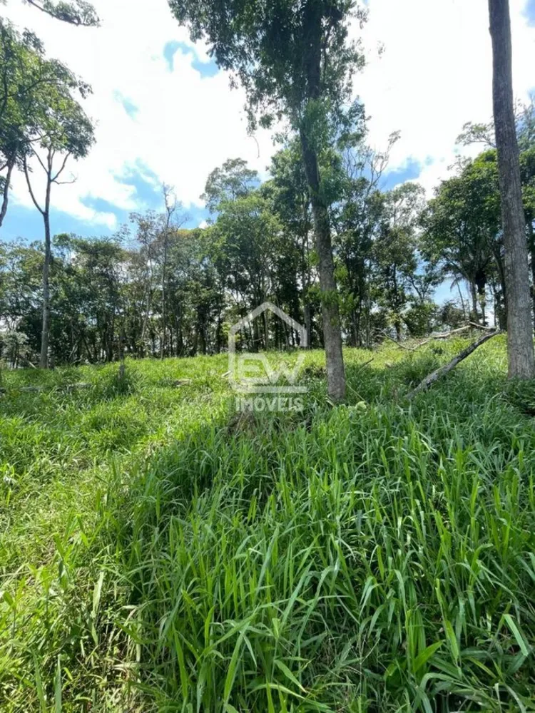 Sítio, 3 quartos, 5 hectares - Foto 4