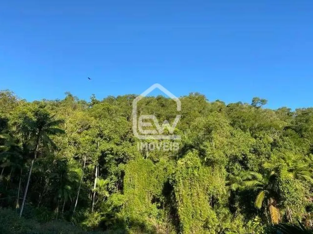Sítio, 4 quartos, 18 hectares - Foto 4