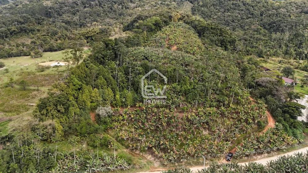 Terreno, 9 hectares - Foto 4