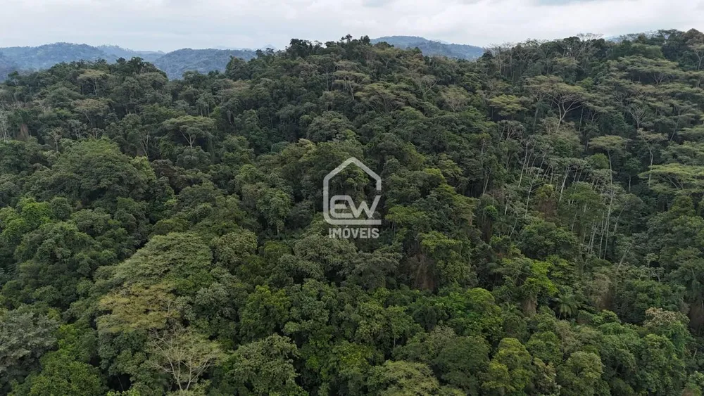 Terreno, 4 hectares - Foto 6