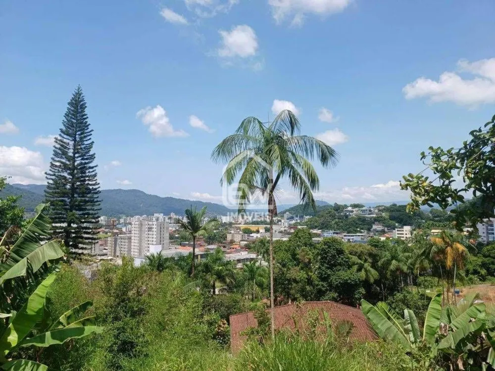 Terreno, 2176 m² - Foto 3