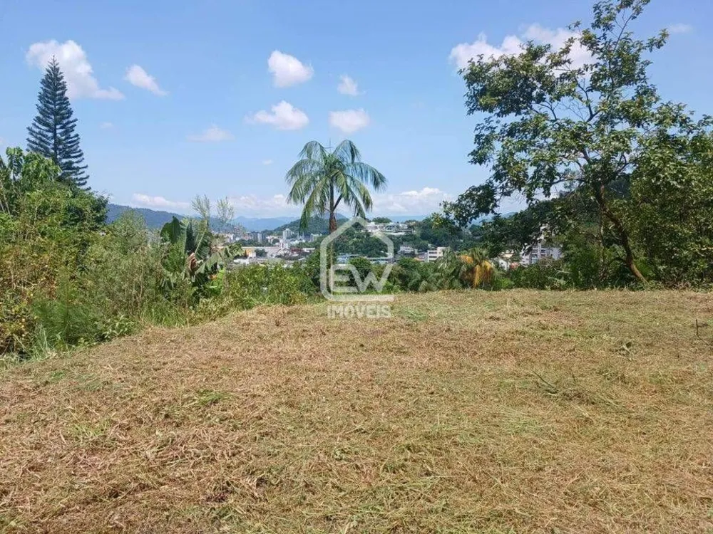 Terreno, 2176 m² - Foto 6