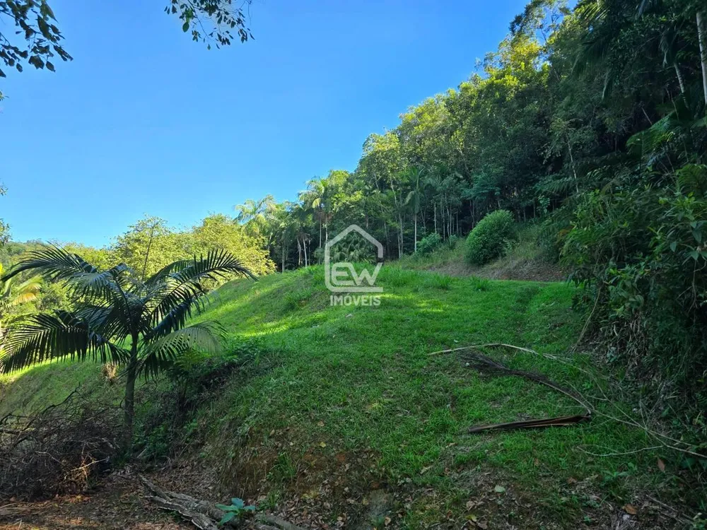 Chácara, 4 quartos, 2 hectares - Foto 10