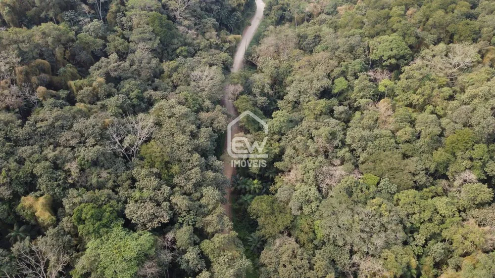 Terreno, 19 hectares - Foto 6