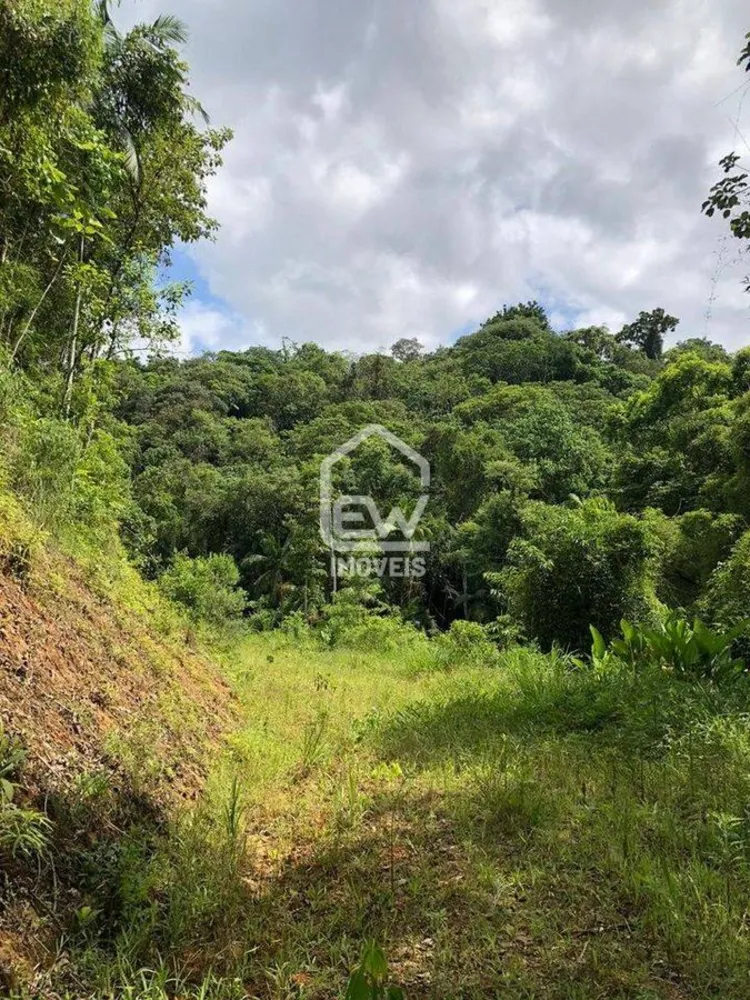 Terreno, 19 hectares - Foto 7