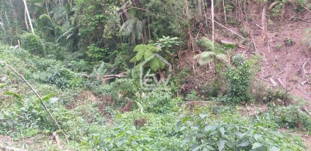 Terreno, 19 hectares - Foto 16