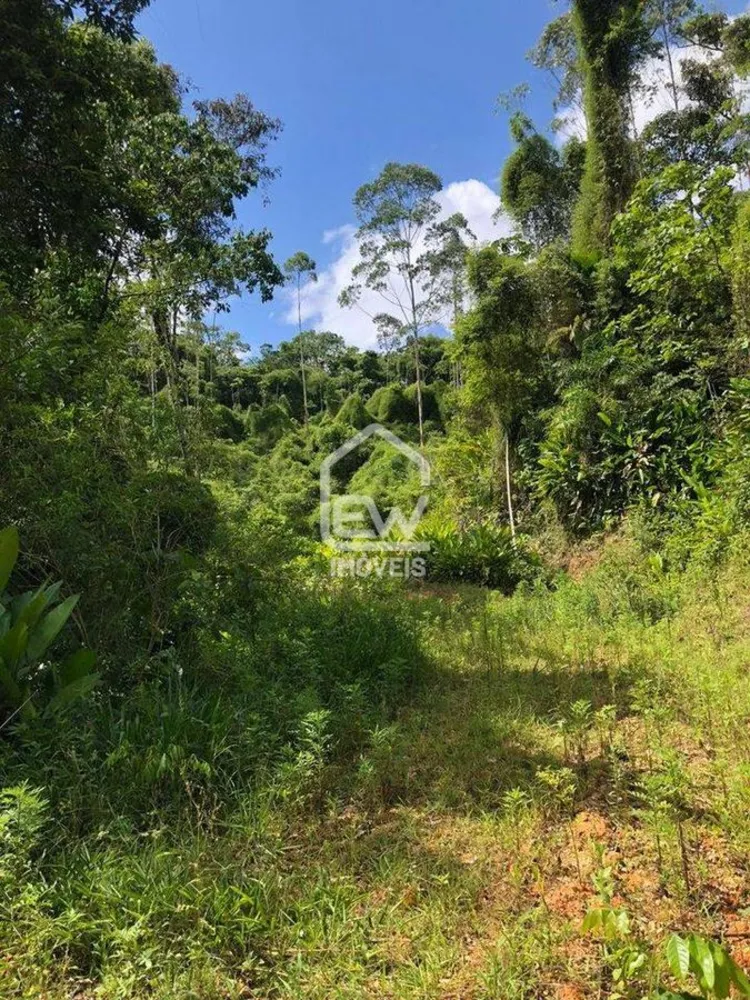 Terreno, 19 hectares - Foto 10