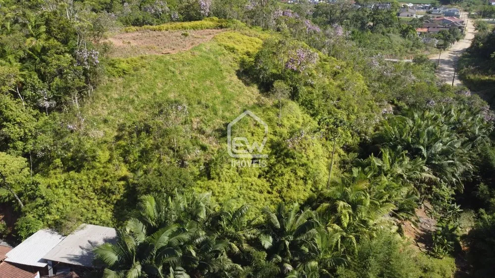 Sítio, 1 quarto, 3 hectares - Foto 1