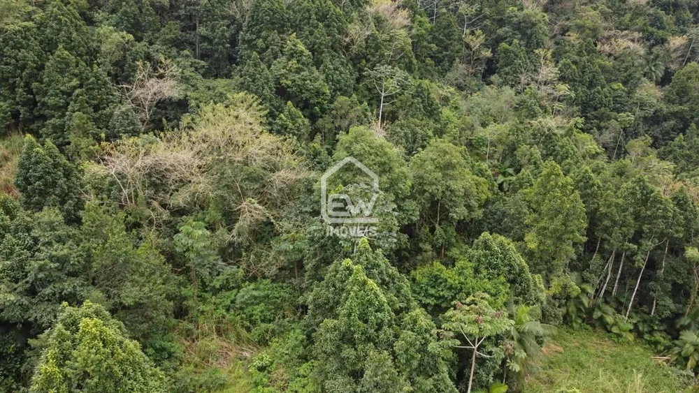 Sítio, 1 quarto, 14 hectares - Foto 4