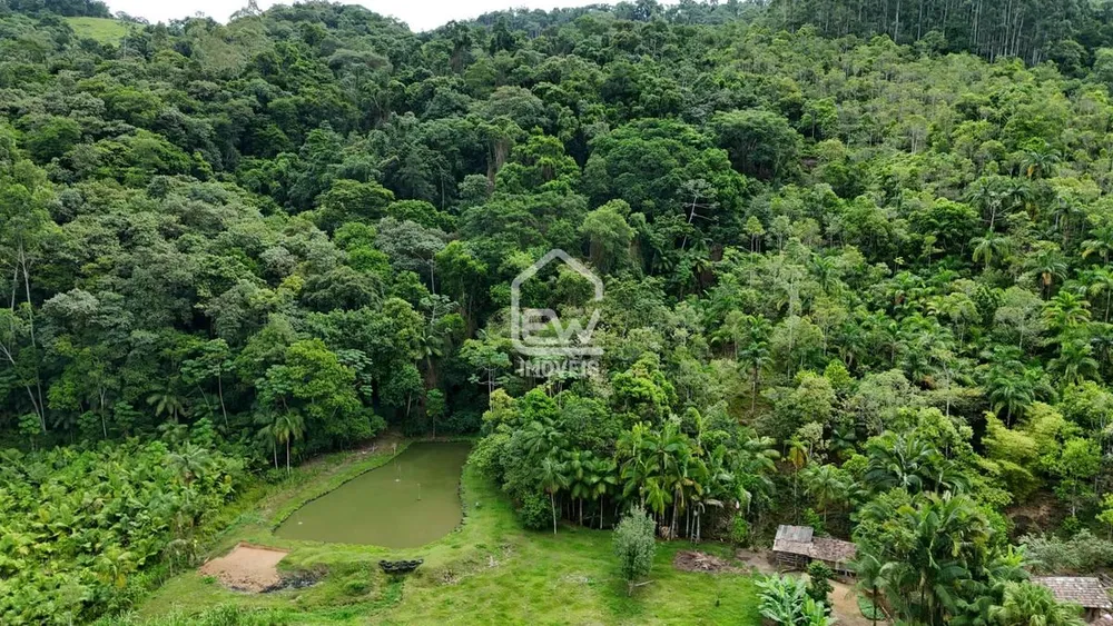 Sítio, 5 quartos, 2 hectares - Foto 4