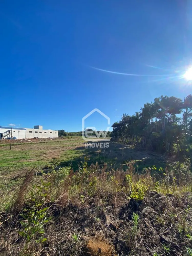 Depósito-Galpão, 20000 m² - Foto 2