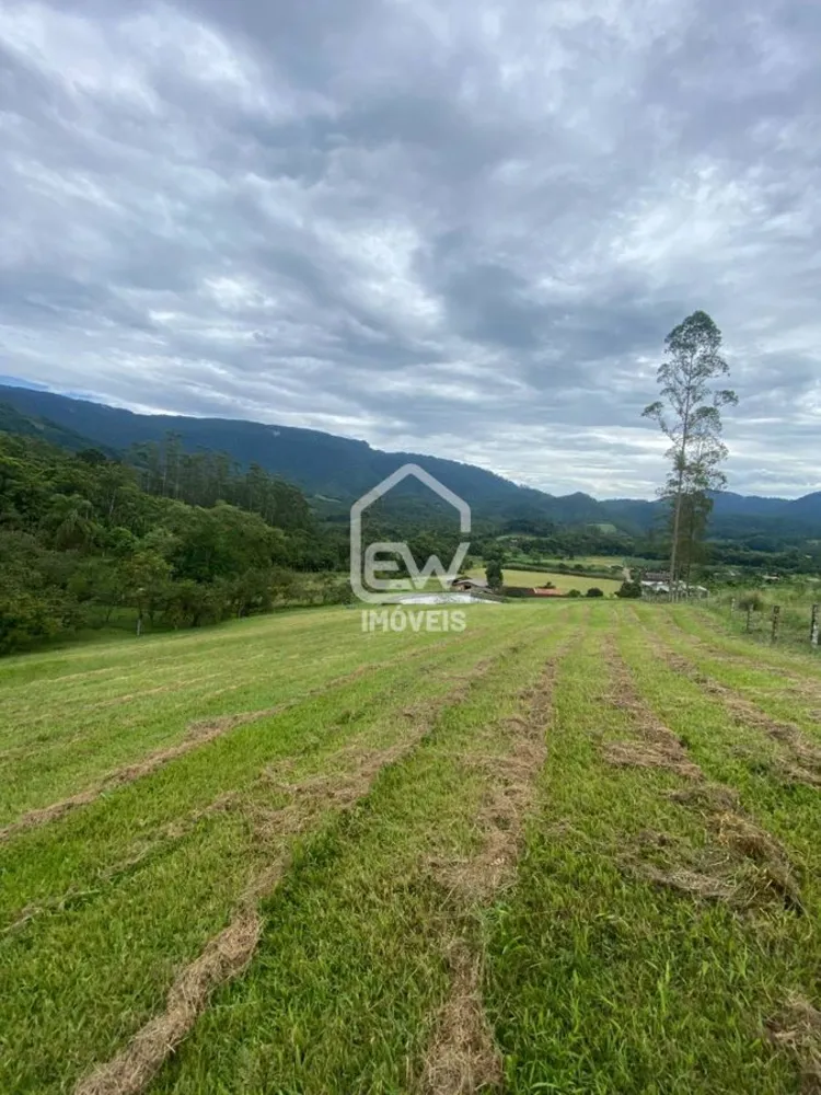 Sítio, 2 quartos, 30 hectares - Foto 1