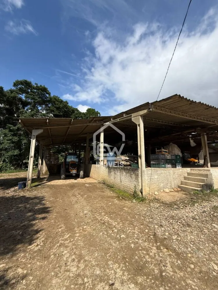 Sítio, 2 quartos, 118 hectares - Foto 11