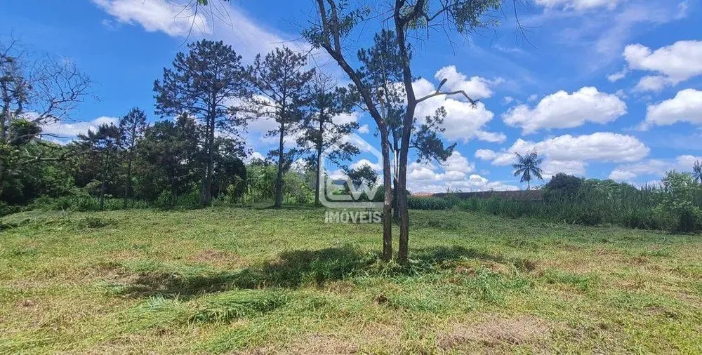 Depósito-Galpão, 64890 m² - Foto 4