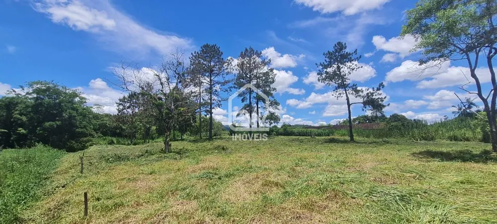 Depósito-Galpão, 64890 m² - Foto 4
