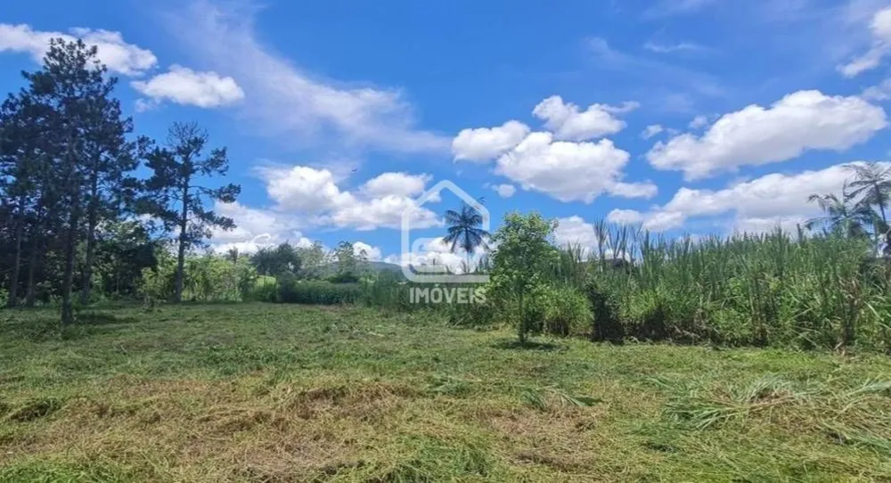 Depósito-Galpão, 64890 m² - Foto 3