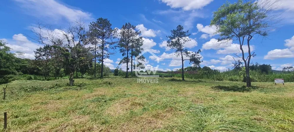Depósito-Galpão, 64890 m² - Foto 3