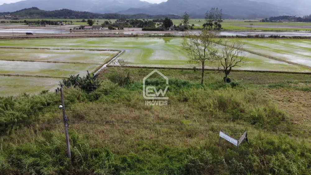Depósito-Galpão, 1745 m² - Foto 4