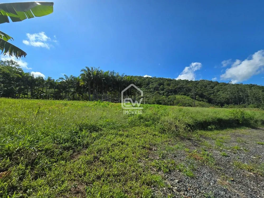 Sítio, 4 quartos, 3 hectares - Foto 3