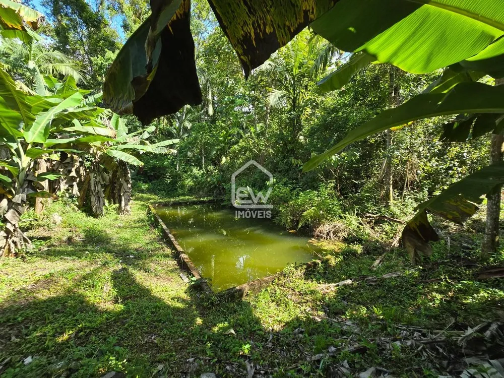 Sítio, 4 quartos, 3 hectares - Foto 2