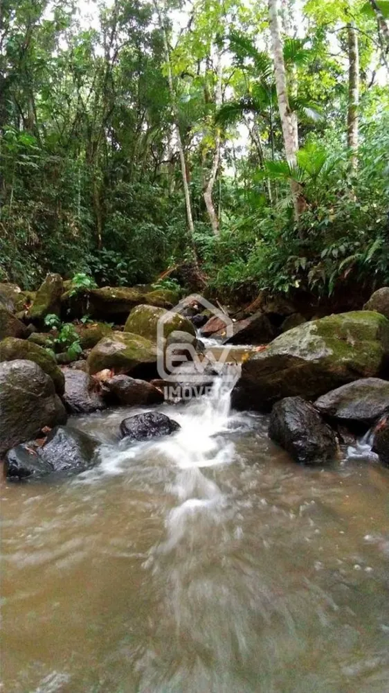Sítio, 13 quartos, 38 hectares - Foto 12