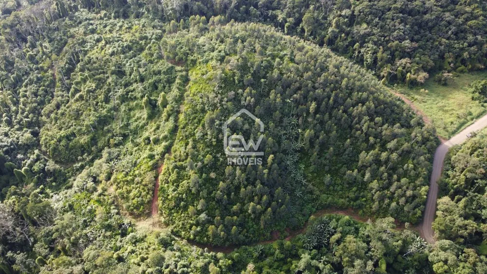 Terreno, 12 hectares - Foto 2