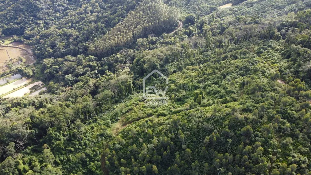 Terreno, 12 hectares - Foto 5