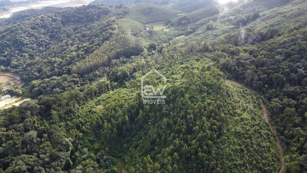 Terreno, 12 hectares - Foto 4