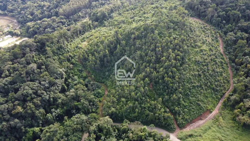 Terreno, 12 hectares - Foto 3