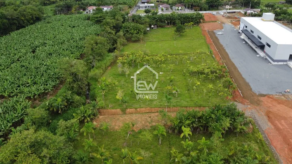 Chácara, 3 quartos, 2 hectares - Foto 4