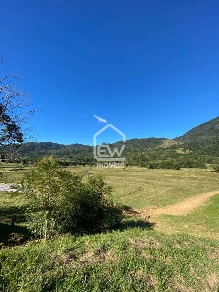Chácara, 3 quartos, 4 hectares - Foto 3