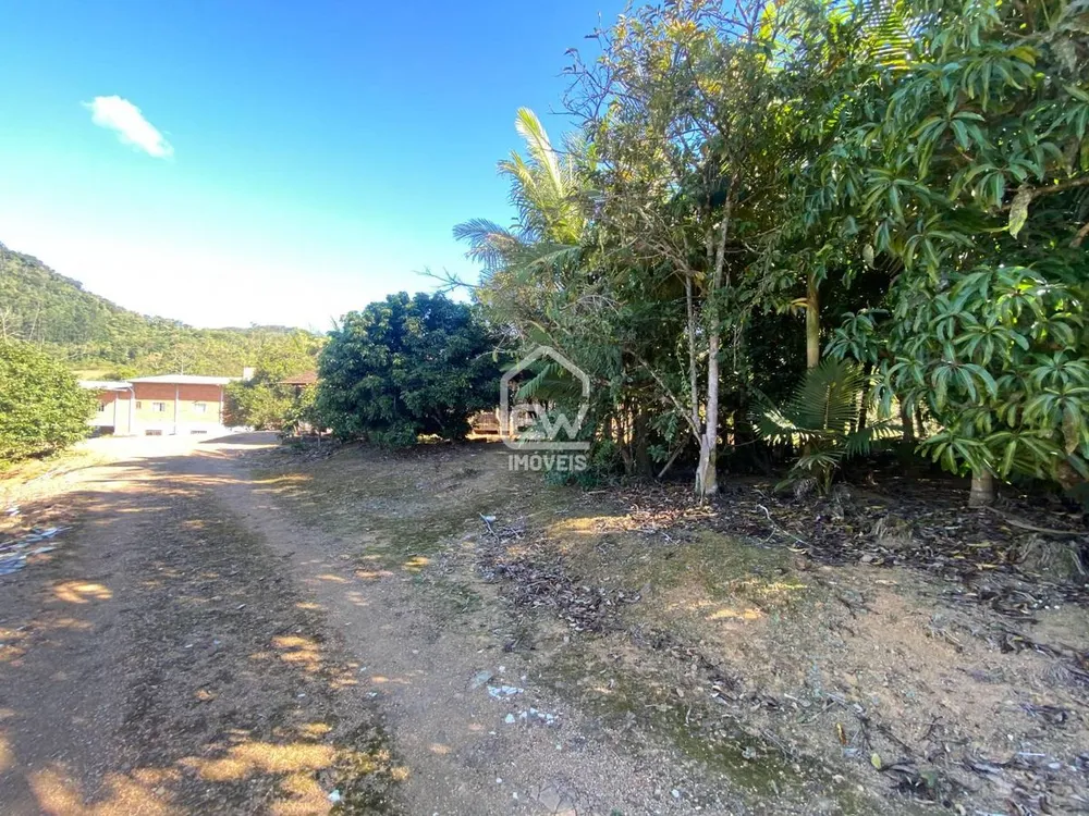 Chácara, 3 quartos, 4 hectares - Foto 6