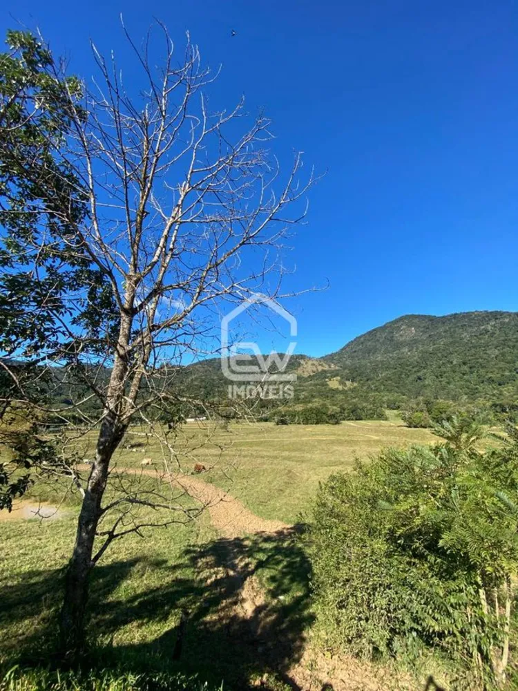 Chácara, 3 quartos, 4 hectares - Foto 2